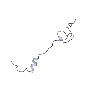 0658_6o8y_2_v1-1
Cryo-EM image reconstruction of the 70S Ribosome Enterococcus faecalis Class03