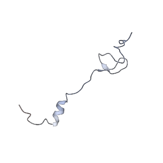 0658_6o8y_2_v1-2
Cryo-EM image reconstruction of the 70S Ribosome Enterococcus faecalis Class03