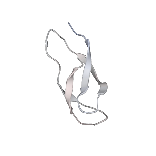 0658_6o8y_3_v1-2
Cryo-EM image reconstruction of the 70S Ribosome Enterococcus faecalis Class03