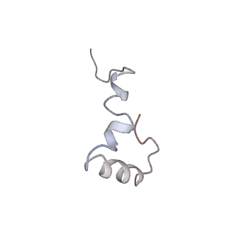 0658_6o8y_4_v1-2
Cryo-EM image reconstruction of the 70S Ribosome Enterococcus faecalis Class03