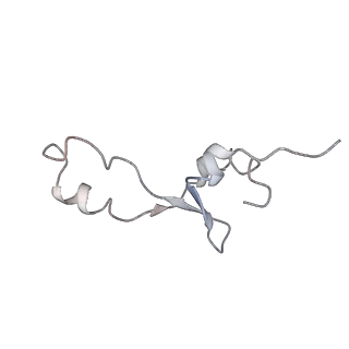 0658_6o8y_5_v1-2
Cryo-EM image reconstruction of the 70S Ribosome Enterococcus faecalis Class03