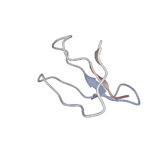 0658_6o8y_6_v1-2
Cryo-EM image reconstruction of the 70S Ribosome Enterococcus faecalis Class03