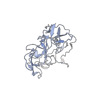 0658_6o8y_C_v1-1
Cryo-EM image reconstruction of the 70S Ribosome Enterococcus faecalis Class03
