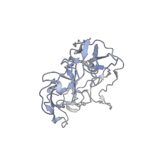 0658_6o8y_C_v1-2
Cryo-EM image reconstruction of the 70S Ribosome Enterococcus faecalis Class03