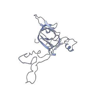 0658_6o8y_D_v1-2
Cryo-EM image reconstruction of the 70S Ribosome Enterococcus faecalis Class03