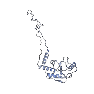 0658_6o8y_E_v1-1
Cryo-EM image reconstruction of the 70S Ribosome Enterococcus faecalis Class03