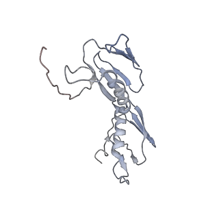 0658_6o8y_G_v1-1
Cryo-EM image reconstruction of the 70S Ribosome Enterococcus faecalis Class03