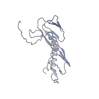 0658_6o8y_G_v1-2
Cryo-EM image reconstruction of the 70S Ribosome Enterococcus faecalis Class03