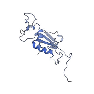 0658_6o8y_K_v1-1
Cryo-EM image reconstruction of the 70S Ribosome Enterococcus faecalis Class03