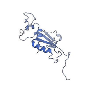 0658_6o8y_K_v1-2
Cryo-EM image reconstruction of the 70S Ribosome Enterococcus faecalis Class03