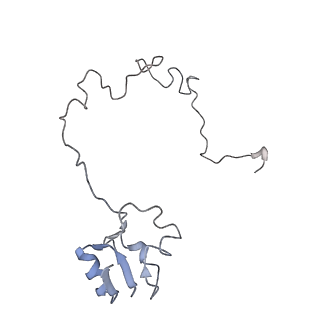 0658_6o8y_M_v1-1
Cryo-EM image reconstruction of the 70S Ribosome Enterococcus faecalis Class03