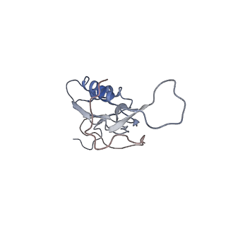 0658_6o8y_N_v1-2
Cryo-EM image reconstruction of the 70S Ribosome Enterococcus faecalis Class03