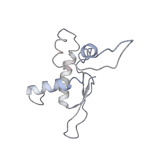 0658_6o8y_O_v1-1
Cryo-EM image reconstruction of the 70S Ribosome Enterococcus faecalis Class03