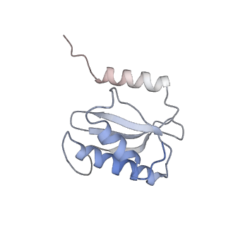 0658_6o8y_P_v1-2
Cryo-EM image reconstruction of the 70S Ribosome Enterococcus faecalis Class03