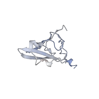 0658_6o8y_Q_v1-2
Cryo-EM image reconstruction of the 70S Ribosome Enterococcus faecalis Class03