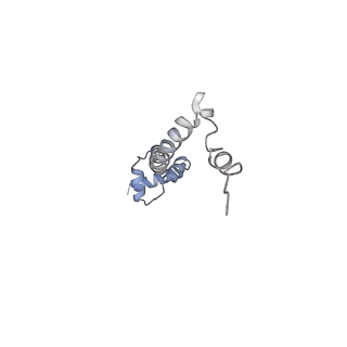 0658_6o8y_R_v1-2
Cryo-EM image reconstruction of the 70S Ribosome Enterococcus faecalis Class03