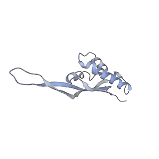 0658_6o8y_T_v1-2
Cryo-EM image reconstruction of the 70S Ribosome Enterococcus faecalis Class03