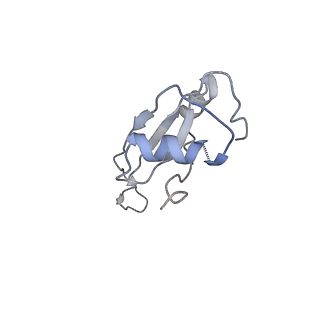 0658_6o8y_U_v1-2
Cryo-EM image reconstruction of the 70S Ribosome Enterococcus faecalis Class03