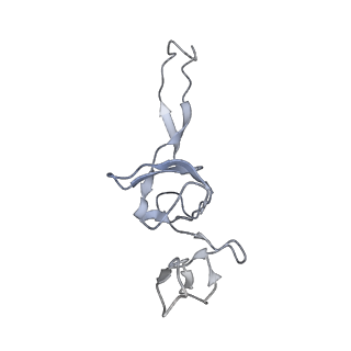 0658_6o8y_V_v1-2
Cryo-EM image reconstruction of the 70S Ribosome Enterococcus faecalis Class03