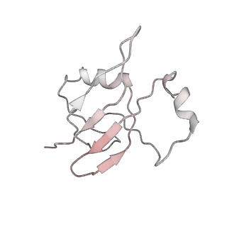 0658_6o8y_W_v1-1
Cryo-EM image reconstruction of the 70S Ribosome Enterococcus faecalis Class03