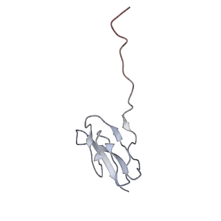 0658_6o8y_X_v1-1
Cryo-EM image reconstruction of the 70S Ribosome Enterococcus faecalis Class03