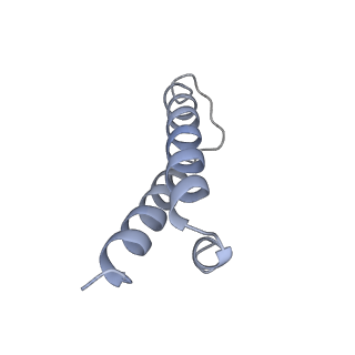 0658_6o8y_Z_v1-1
Cryo-EM image reconstruction of the 70S Ribosome Enterococcus faecalis Class03