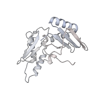 0658_6o8y_c_v1-1
Cryo-EM image reconstruction of the 70S Ribosome Enterococcus faecalis Class03