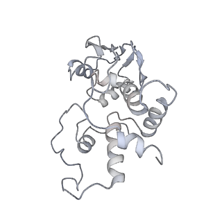 0658_6o8y_d_v1-2
Cryo-EM image reconstruction of the 70S Ribosome Enterococcus faecalis Class03