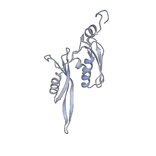 0658_6o8y_e_v1-1
Cryo-EM image reconstruction of the 70S Ribosome Enterococcus faecalis Class03