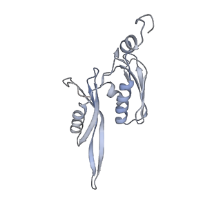 0658_6o8y_e_v1-2
Cryo-EM image reconstruction of the 70S Ribosome Enterococcus faecalis Class03