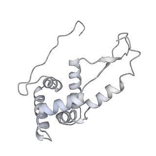 0658_6o8y_g_v1-2
Cryo-EM image reconstruction of the 70S Ribosome Enterococcus faecalis Class03