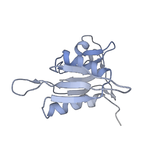 0658_6o8y_h_v1-1
Cryo-EM image reconstruction of the 70S Ribosome Enterococcus faecalis Class03