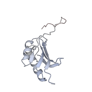 0658_6o8y_k_v1-1
Cryo-EM image reconstruction of the 70S Ribosome Enterococcus faecalis Class03