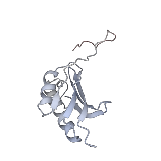 0658_6o8y_k_v1-2
Cryo-EM image reconstruction of the 70S Ribosome Enterococcus faecalis Class03