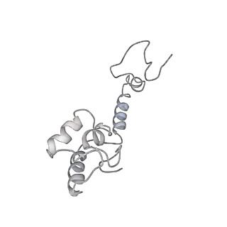 0658_6o8y_m_v1-2
Cryo-EM image reconstruction of the 70S Ribosome Enterococcus faecalis Class03