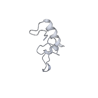 0658_6o8y_n_v1-1
Cryo-EM image reconstruction of the 70S Ribosome Enterococcus faecalis Class03