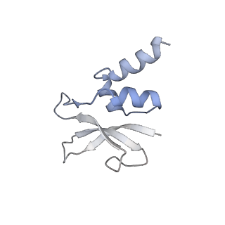 0658_6o8y_p_v1-2
Cryo-EM image reconstruction of the 70S Ribosome Enterococcus faecalis Class03