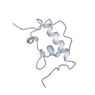 0658_6o8y_r_v1-2
Cryo-EM image reconstruction of the 70S Ribosome Enterococcus faecalis Class03