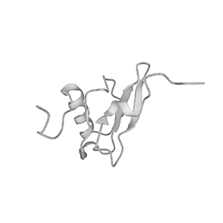 0658_6o8y_s_v1-2
Cryo-EM image reconstruction of the 70S Ribosome Enterococcus faecalis Class03