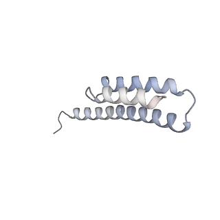 0658_6o8y_t_v1-2
Cryo-EM image reconstruction of the 70S Ribosome Enterococcus faecalis Class03