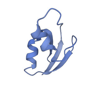 0659_6o8z_0_v1-1
Cryo-EM image reconstruction of the 70S Ribosome Enterococcus faecalis Class04