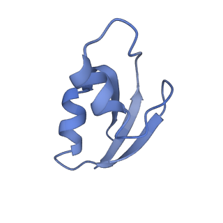 0659_6o8z_0_v1-2
Cryo-EM image reconstruction of the 70S Ribosome Enterococcus faecalis Class04