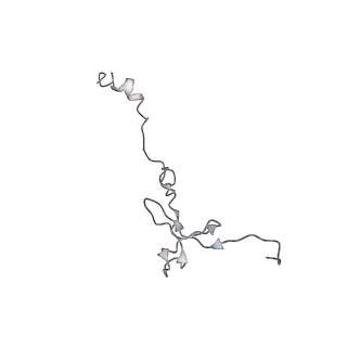 0659_6o8z_1_v1-2
Cryo-EM image reconstruction of the 70S Ribosome Enterococcus faecalis Class04