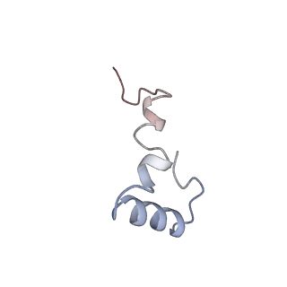 0659_6o8z_4_v1-2
Cryo-EM image reconstruction of the 70S Ribosome Enterococcus faecalis Class04