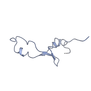 0659_6o8z_5_v1-2
Cryo-EM image reconstruction of the 70S Ribosome Enterococcus faecalis Class04