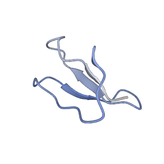 0659_6o8z_6_v1-2
Cryo-EM image reconstruction of the 70S Ribosome Enterococcus faecalis Class04