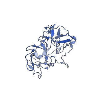 0659_6o8z_C_v1-1
Cryo-EM image reconstruction of the 70S Ribosome Enterococcus faecalis Class04