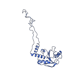 0659_6o8z_E_v1-1
Cryo-EM image reconstruction of the 70S Ribosome Enterococcus faecalis Class04