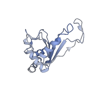 0659_6o8z_F_v1-2
Cryo-EM image reconstruction of the 70S Ribosome Enterococcus faecalis Class04