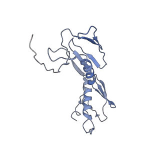 0659_6o8z_G_v1-2
Cryo-EM image reconstruction of the 70S Ribosome Enterococcus faecalis Class04